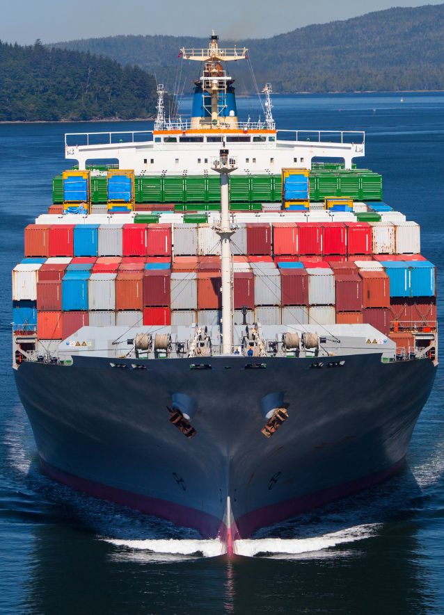 Himalayaa Shipping Agencies